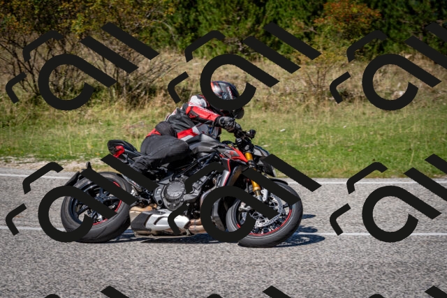 202509061255-DSC_1836_c2