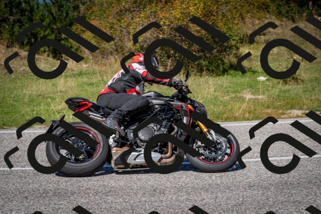 202509061255-DSC_1837_c2