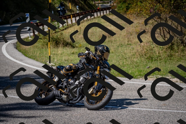 202509061256-DSC_1845_c2