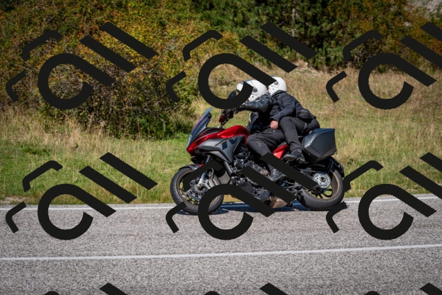 202509061256-DSC_1850_c2