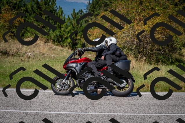 202509061256-DSC_1851_c2