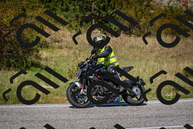 202509061257-DSC_1856_c2