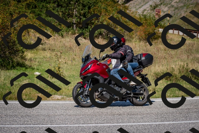 202509061257-DSC_1858_c2