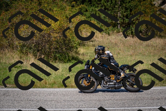 202509061257-DSC_1859_c2