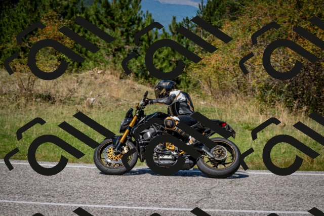 202509061257-DSC_1860_c2