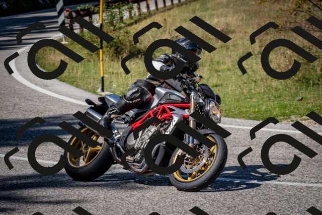 202509061257-DSC_1861_c2