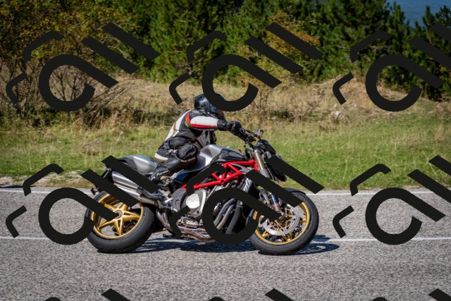 202509061257-DSC_1862_c2