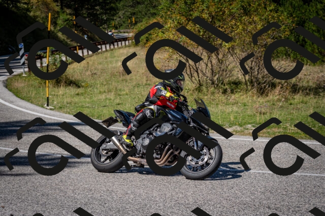 202509061257-DSC_1864_c2