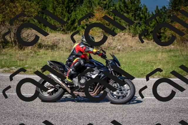 202509061257-DSC_1865_c2