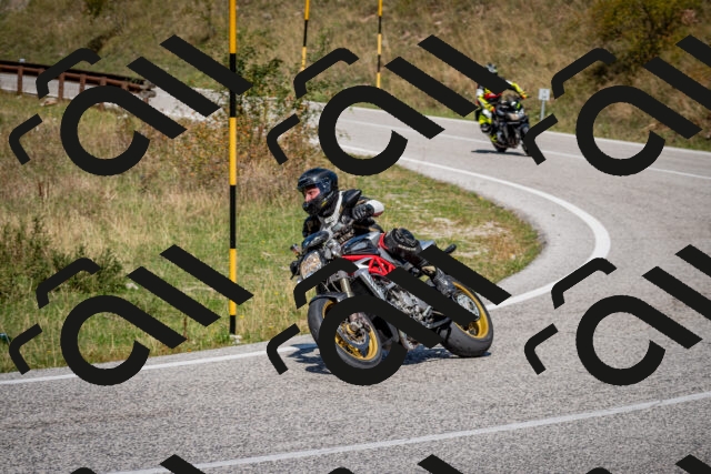 202509061258-DSC_1866_c2