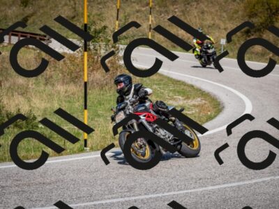 202509061258-DSC_1866_c2