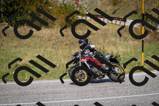 202509061258-DSC_1867_c2