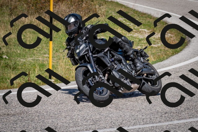 202509061258-DSC_1868_c2