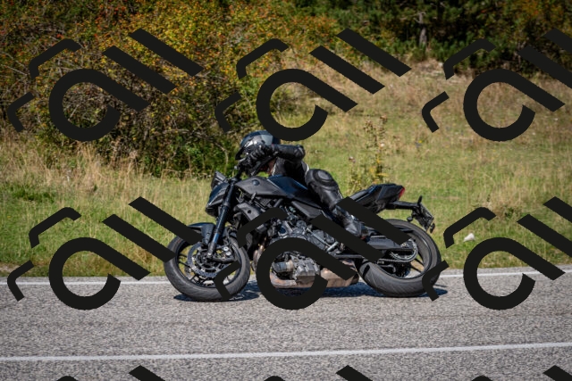 202509061258-DSC_1870_c2