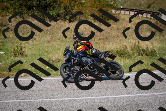 202509061258-DSC_1871_c2