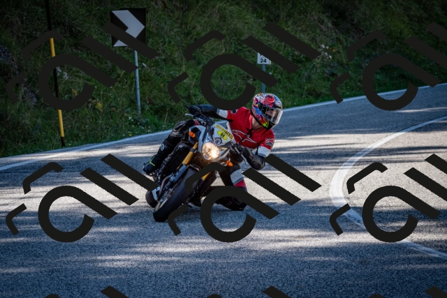 202509061259-DSC_1885_c2