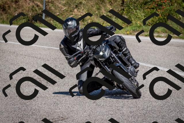 202509061259-DSC_1897_c2