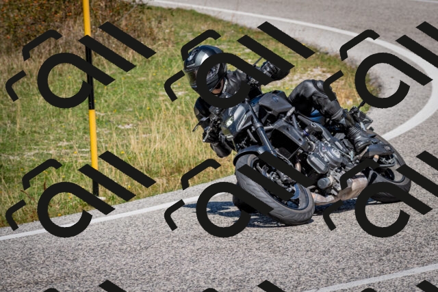 202509061259-DSC_1898_c2