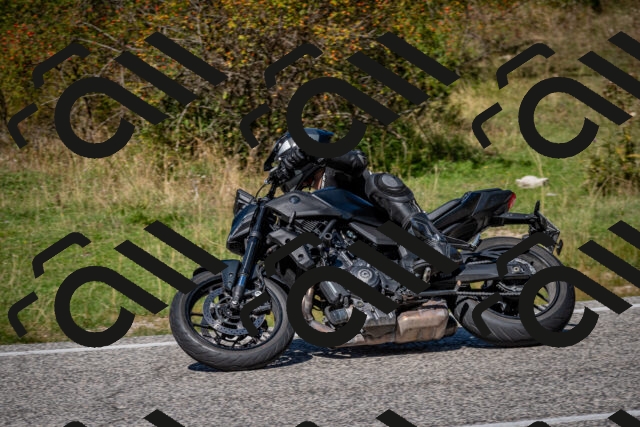 202509061259-DSC_1899_c2