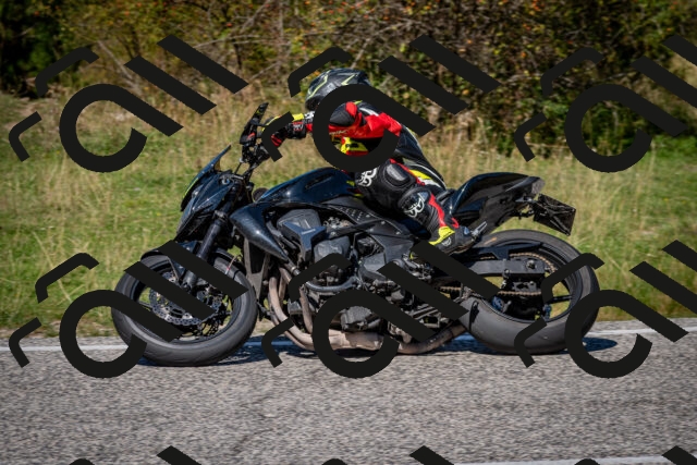 202509061259-DSC_1900_c2