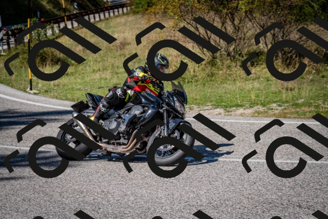 202509061300-DSC_1909_c2