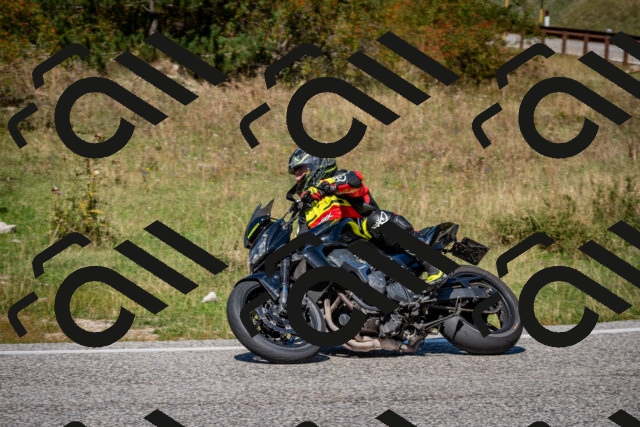 202509061301-DSC_1915_c2