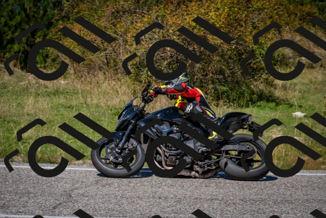 202509061301-DSC_1916_c2