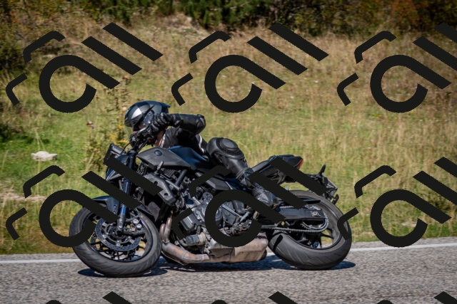 202509061301-DSC_1917_c2