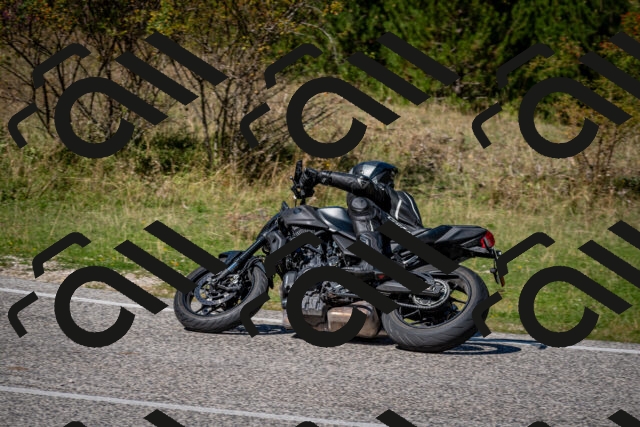 202509061301-DSC_1919_c2