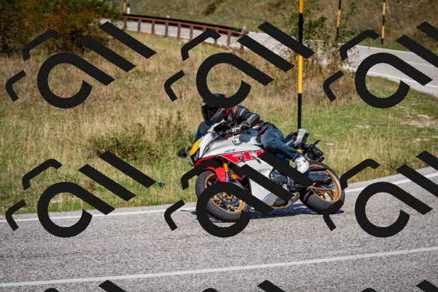 202509061301-DSC_1923_c2