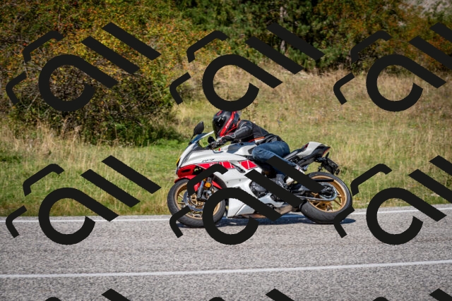 202509061301-DSC_1924_c2