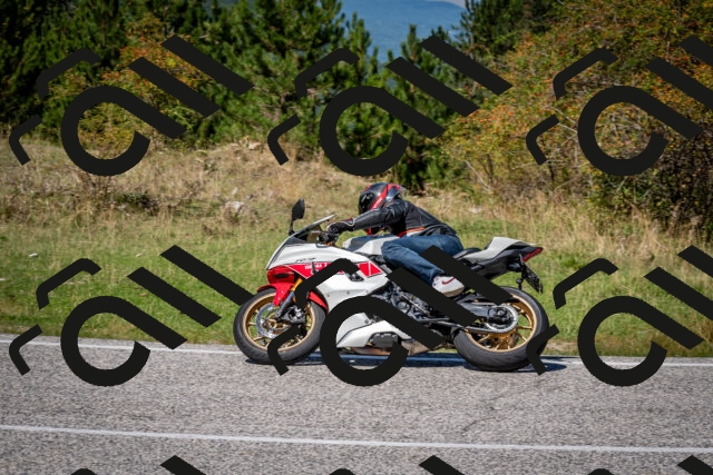 202509061301-DSC_1925_c2