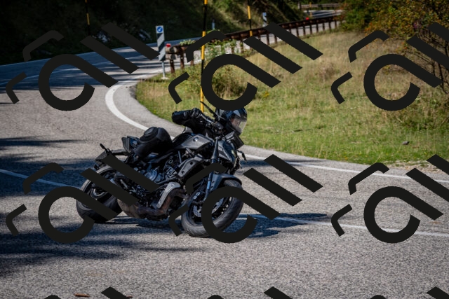 202509061301-DSC_1927_c2