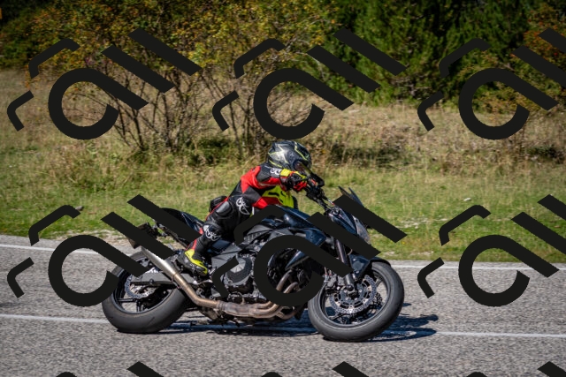 202509061301-DSC_1929_c2