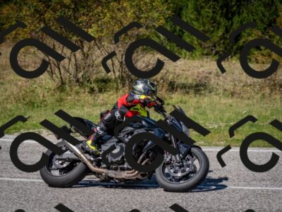 202509061301-DSC_1929_c2