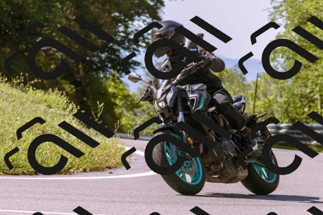 202509061109-_DSC8429_d1_