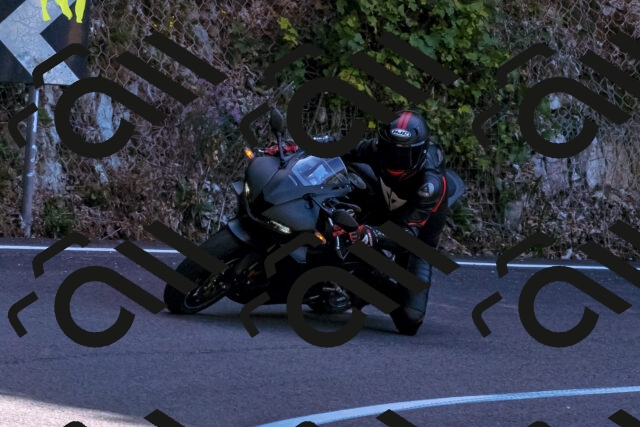 202509061110-_DSC8436_d1_