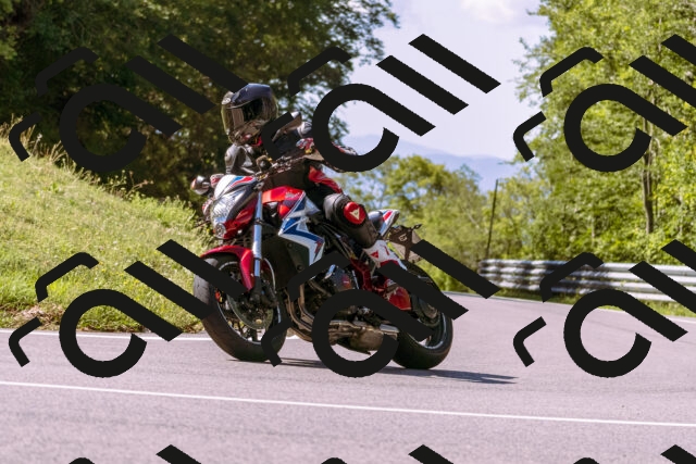 202509061112-_DSC8450_d1_