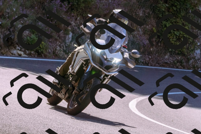 202509061118-_DSC8471_d1_