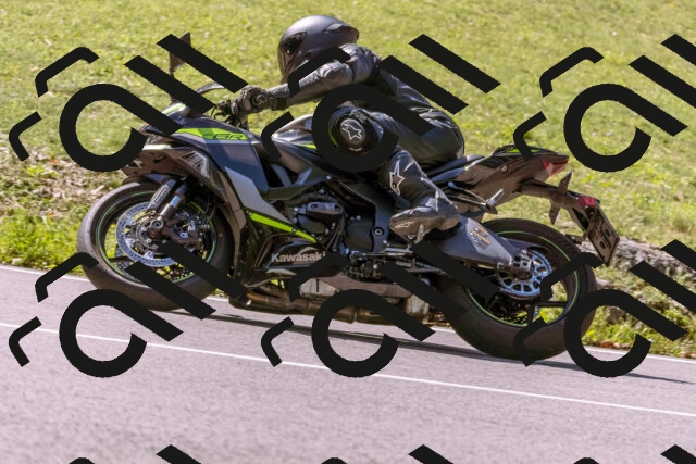 202509061120-_DSC8478_d1_