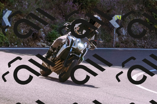 202509061122-_DSC8482_d1_