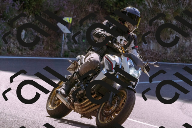 202509061122-_DSC8483_d1_