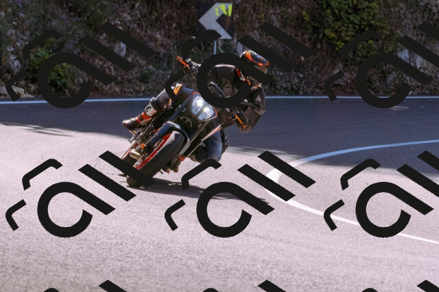 202509061122-_DSC8484_d1_