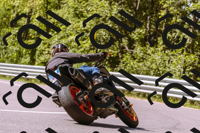 202509061122-_DSC8487_d1_