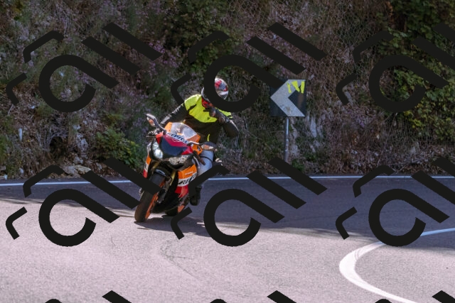 202509061123-_DSC8488_d1_