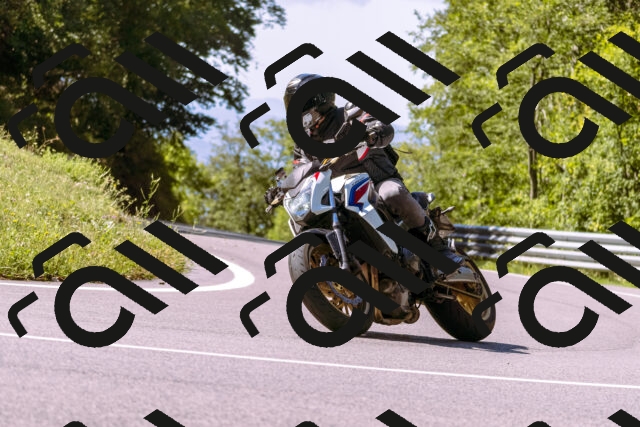 202509061124-_DSC8495_d1_