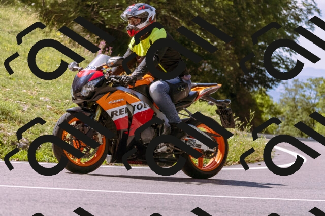 202509061125-_DSC8500_d1_