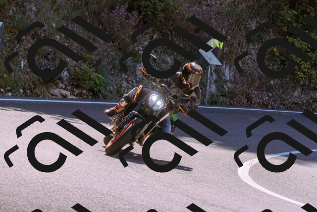 202509061127-_DSC8501_d1_