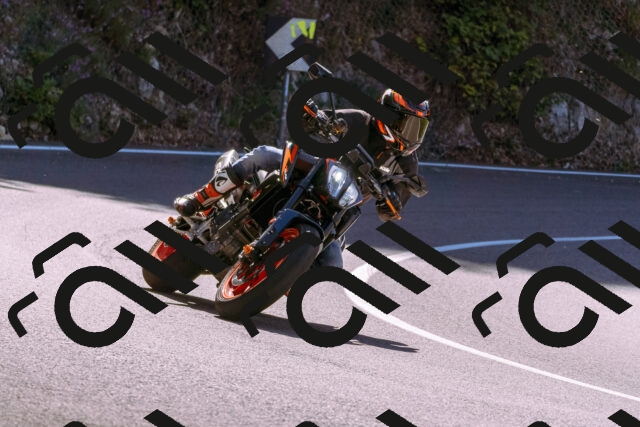 202509061127-_DSC8502_d1_