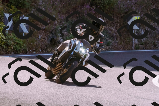 202509061127-_DSC8503_d1_